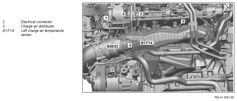 G13656364