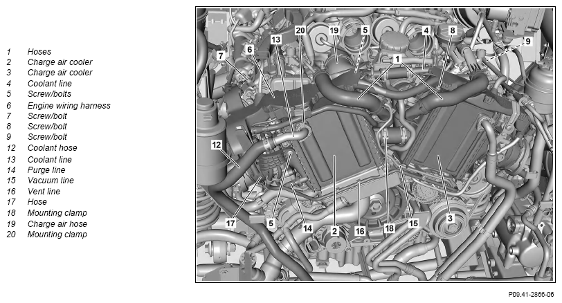 G13656421