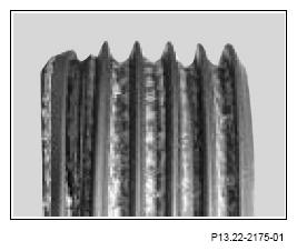 G13656529