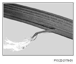 G13656533