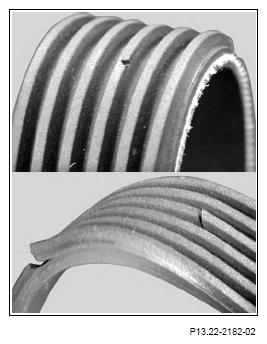G13656536