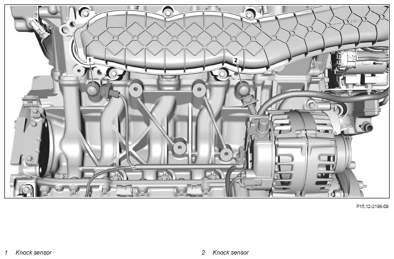 G13656583