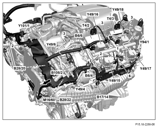 G13656606