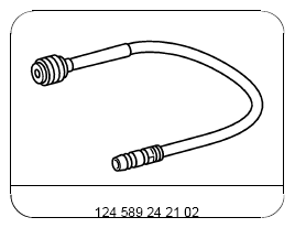 G13656896