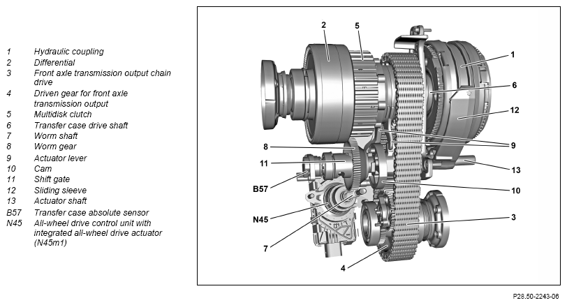 G13657539