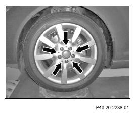 G13658041