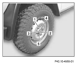G13658065