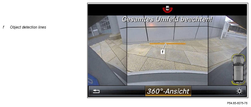 G13658644