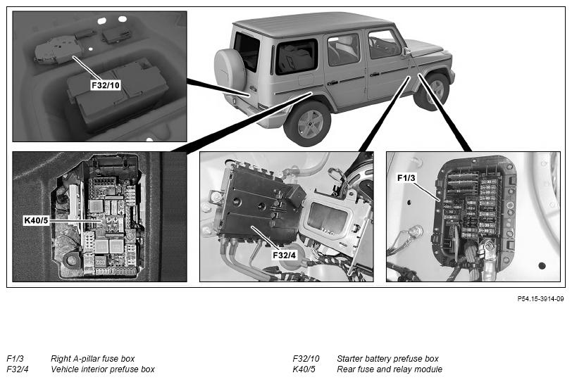 G13658685