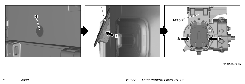 G13658919