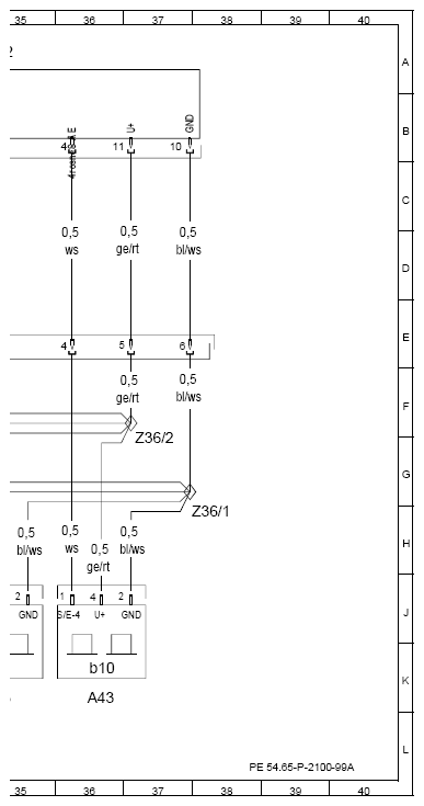 G13659296