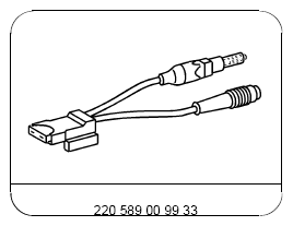 G13659356
