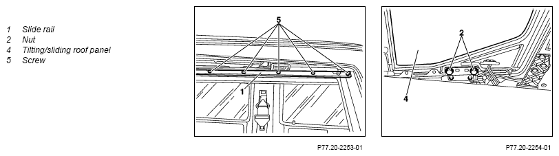 G13659881