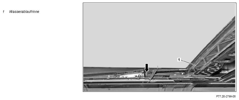 G13659912