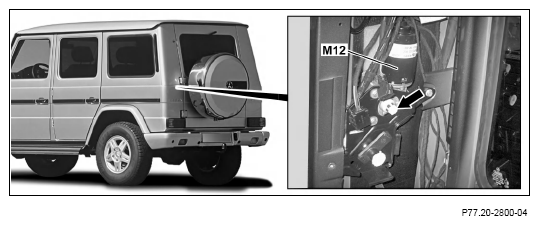 G13659925