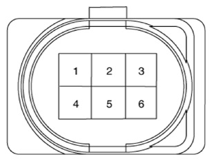 G13661126