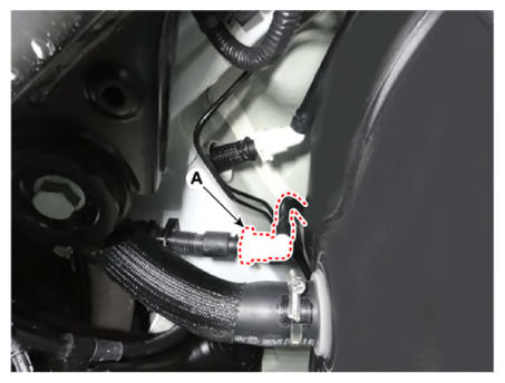 G13661176