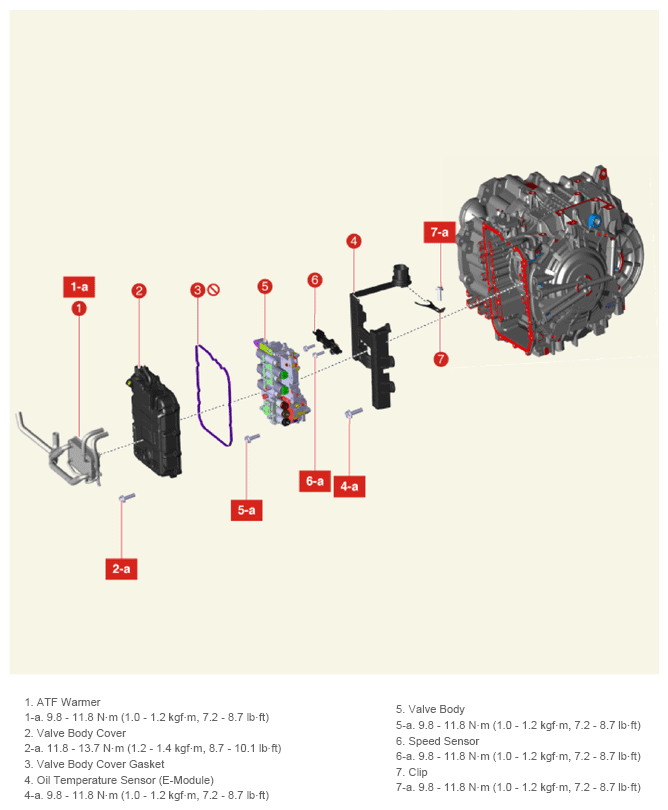 G13661281