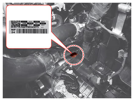 G13661372