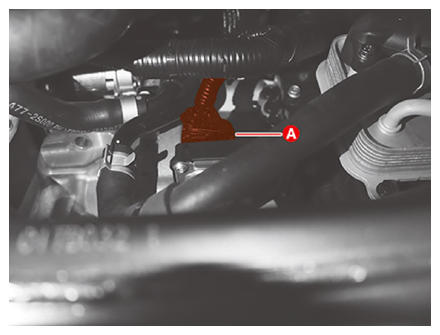 G13661387