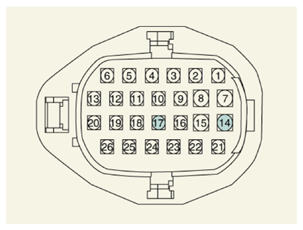 G13661439