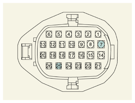 G13661469
