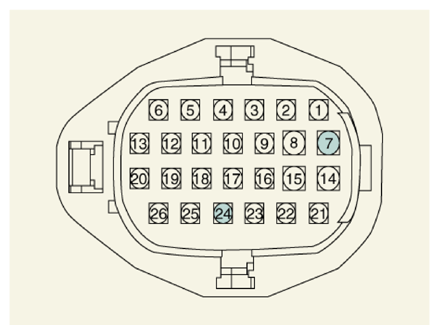 G13661484