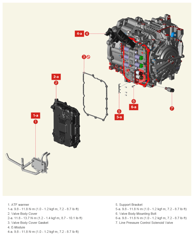 G13661495