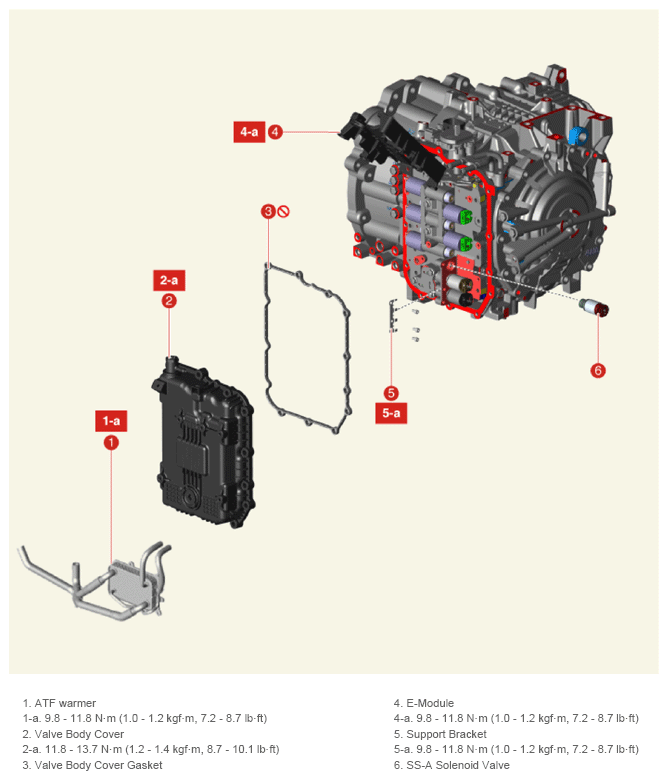 G13661508