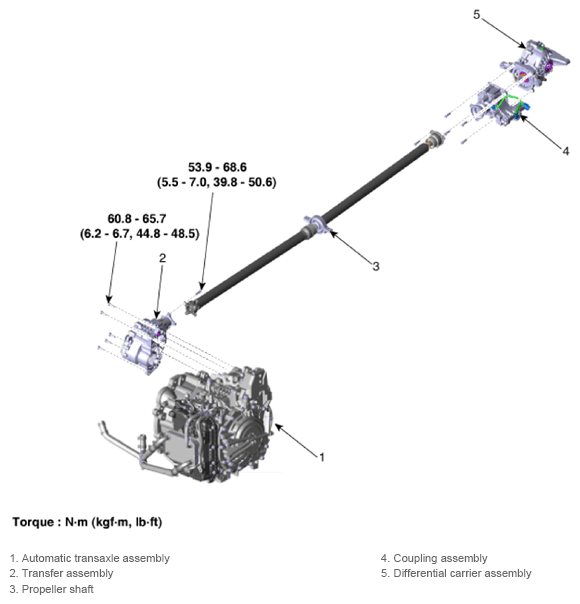 G13661539