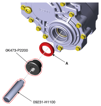 G13661552