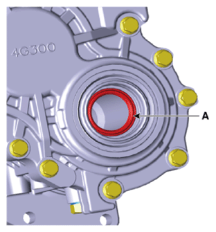 G13661555