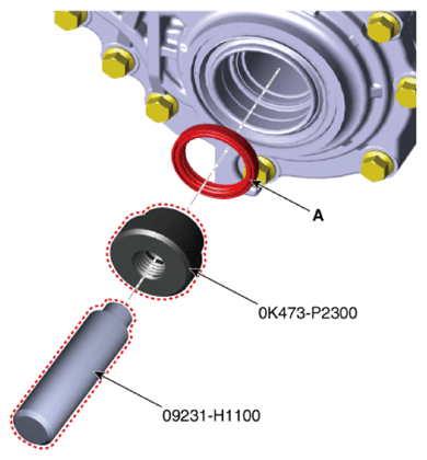 G13661556
