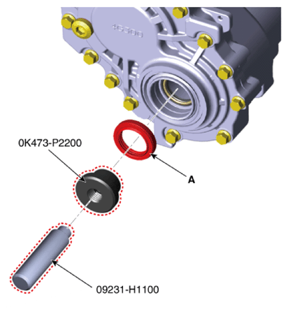 G13661557