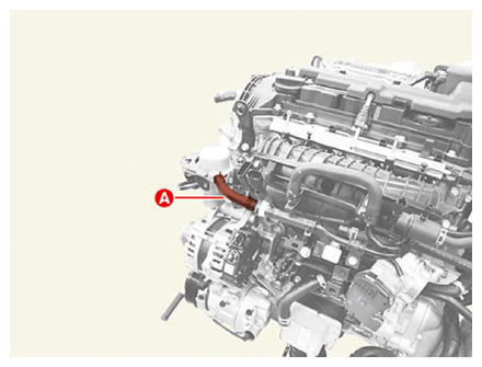 G13664351