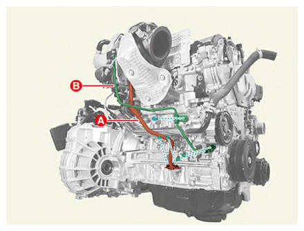 G13664390