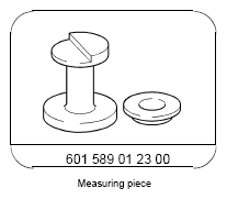 G13668176