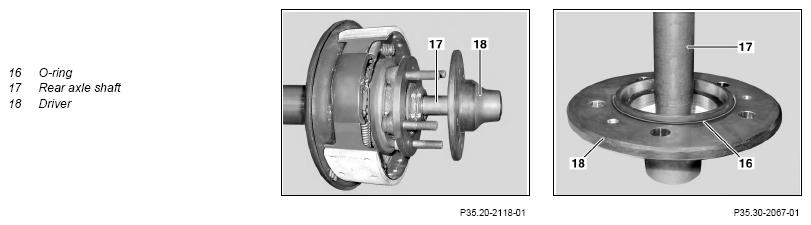 G13668266