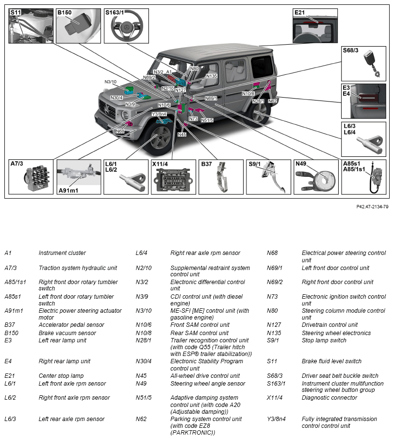G13668474