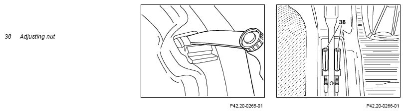 G13668638