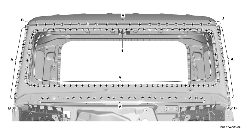 G13669061