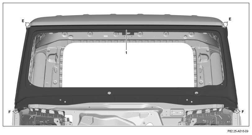 G13669076