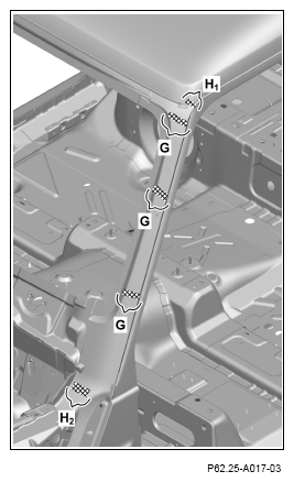 G13669077