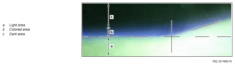G13669594