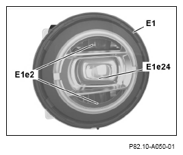 G13669904