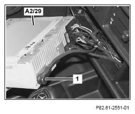 G13669944