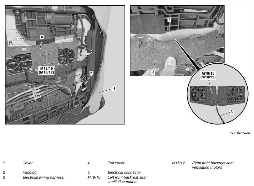 G13670544