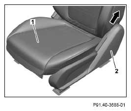 G13670560