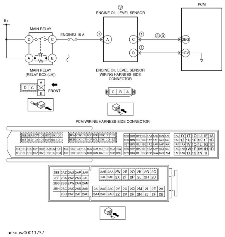 G13671296