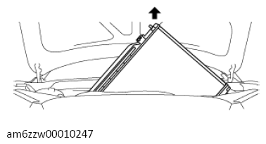G13672317